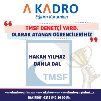 TMSF